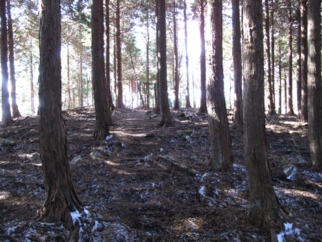 20161216hike (143)